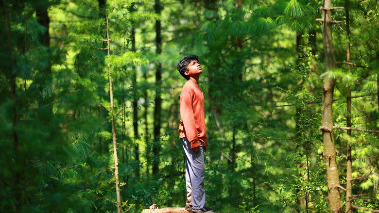 кадр из фильма Sound of Silence