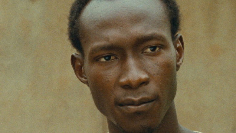 кадр из фильма Laafi - Tout va bien