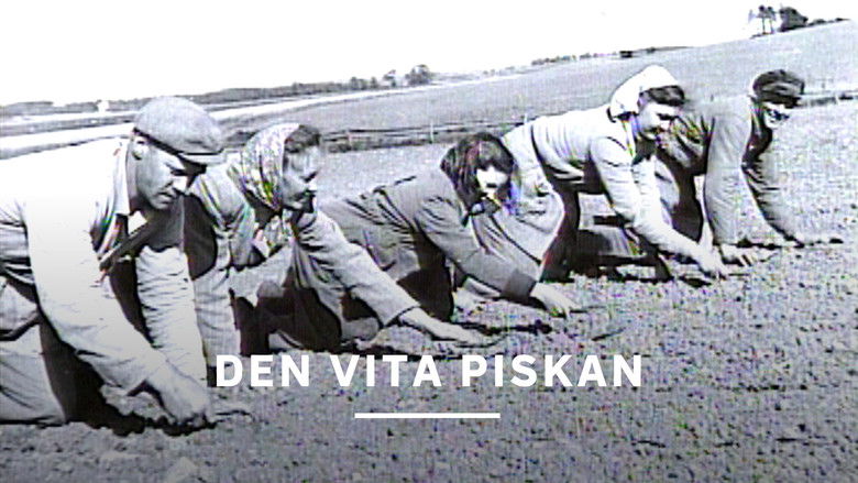 Den vita piskan