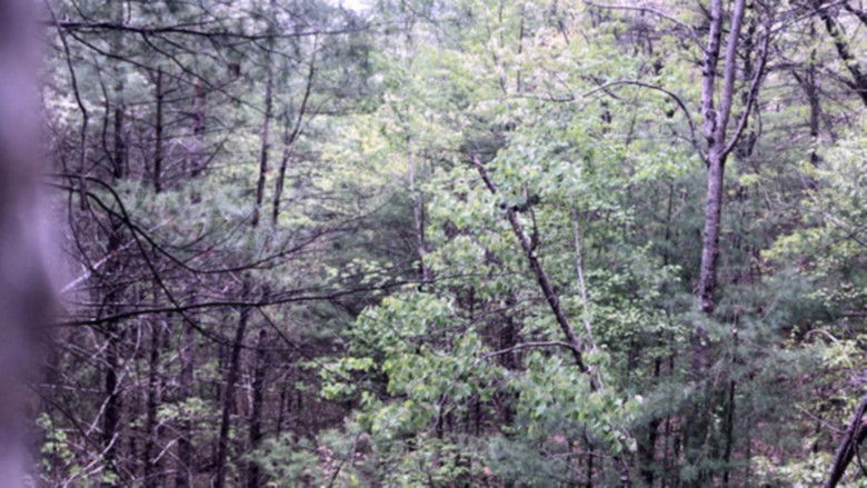 кадр из фильма Millstone Woods May 2018