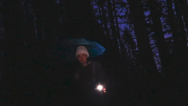 кадр из фильма Starling