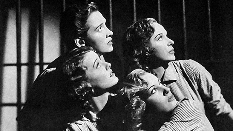 кадр из фильма Women Without Names