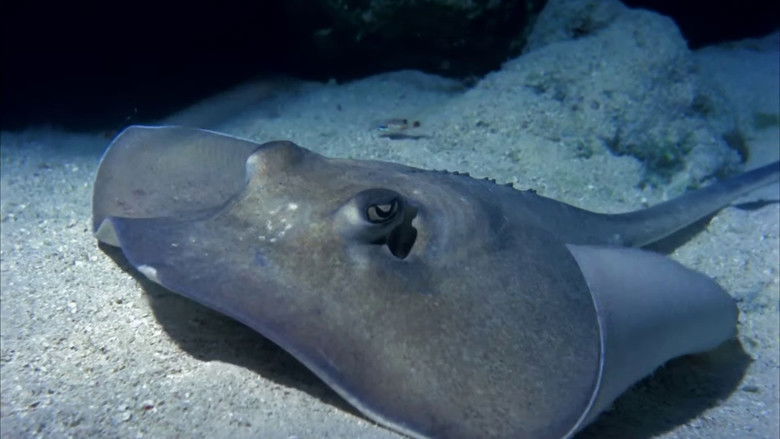 кадр из фильма Undercurrents