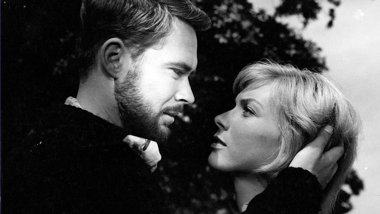 кадр из фильма Sorte Shara