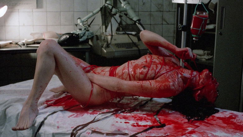 кадр из фильма 暴行本番