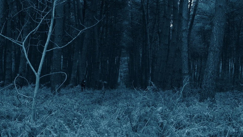 кадр из фильма Void Madness