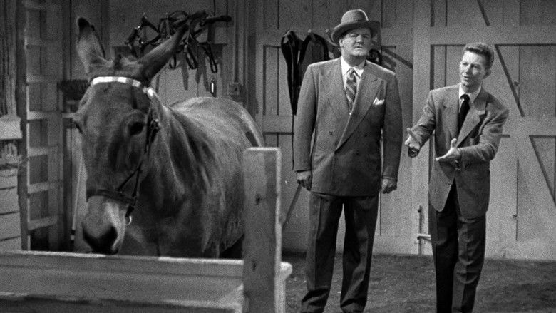 кадр из фильма Francis Goes to the Races