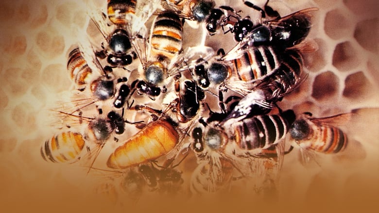 кадр из фильма Secrets of Life