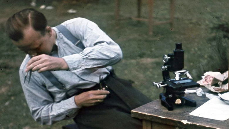 кадр из фильма Les junkies d'Adolf Hitler