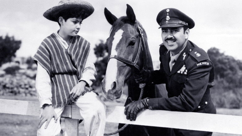 кадр из фильма The Littlest Outlaw