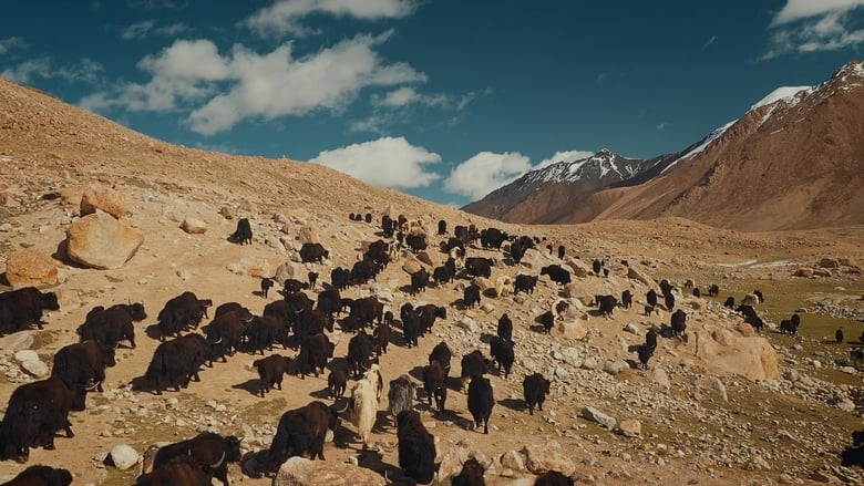 кадр из фильма A Cry From The Mountains