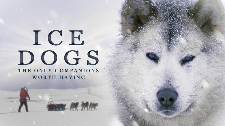 кадр из фильма Ice Dogs: The Only Companions Worth Having
