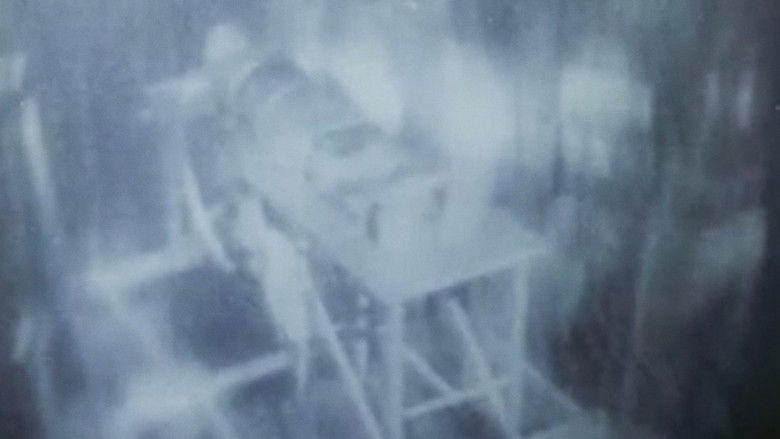 кадр из фильма Frank Stein