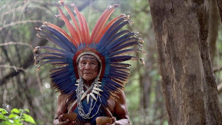 кадр из фильма Az Amazonas Királynője - Queen of the Amazon