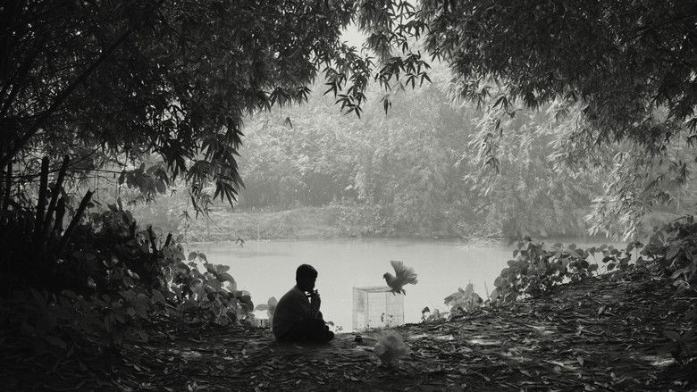 кадр из фильма The Pair of White Pigeons