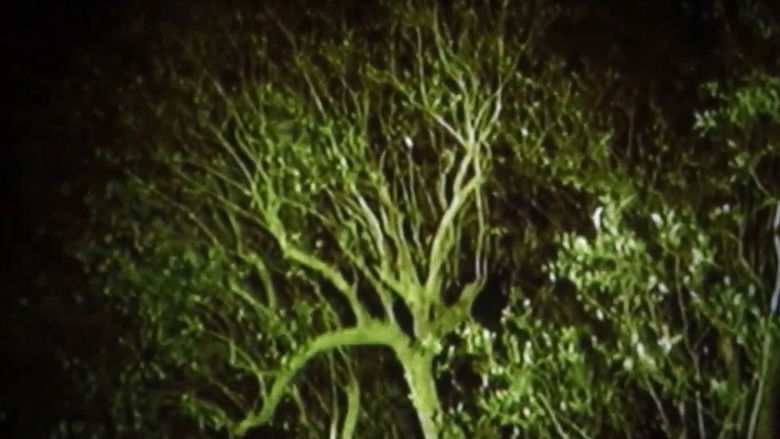 кадр из фильма Nang Gabing Maging Singlaki Ng Puso Ang Bato Ni Darna