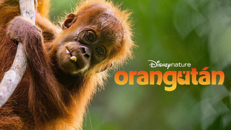 кадр из фильма Orangutan