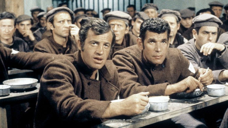 кадр из фильма Скумон: Приносящий беду