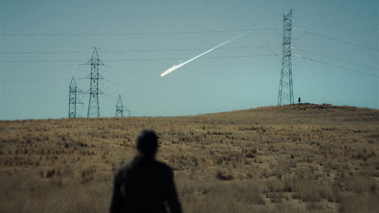 кадр из фильма La anatomía de los caballos