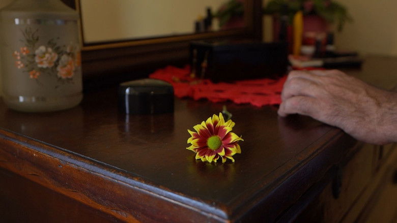 кадр из фильма Antes da Primavera