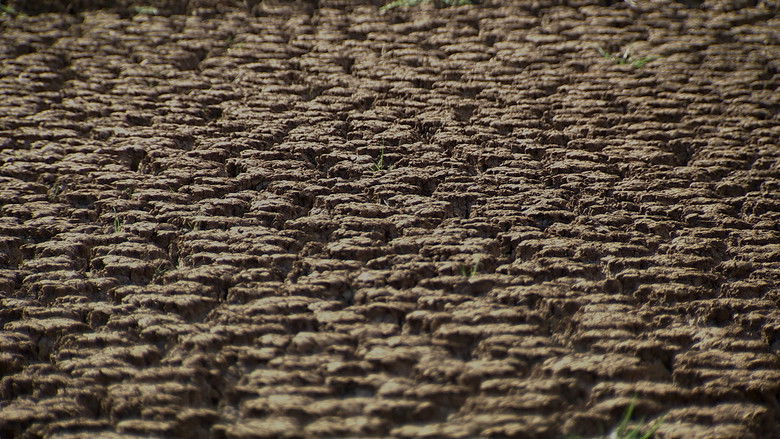 кадр из фильма Without Water