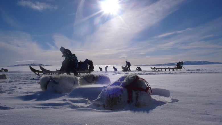 кадр из фильма Là où naissent les icebergs