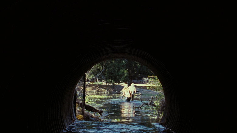 кадр из фильма Изгнанные дьяволом