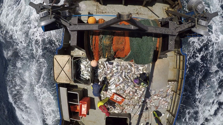 кадр из фильма Trailblazers: The New Zealand Story