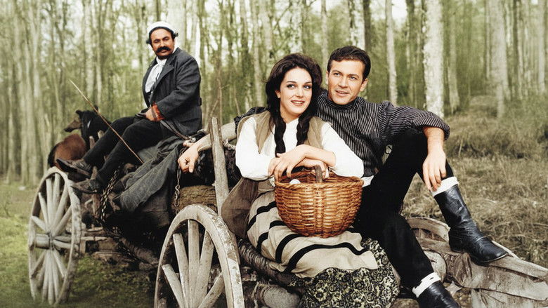 кадр из фильма Senede Bir Gün