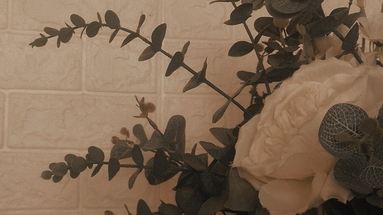 кадр из фильма Tudo o que eu não te digo