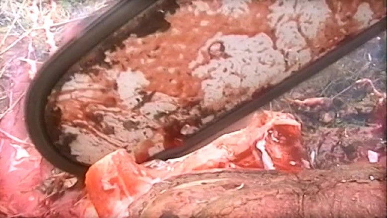 Untot - Kämpfer in der Leichenwelt