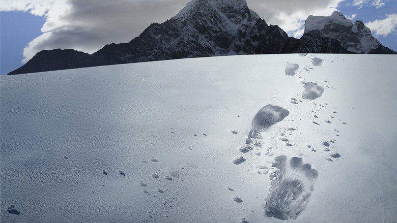 кадр из фильма Hunt for the Abominable Snowman