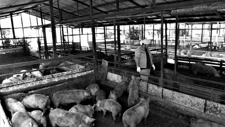 кадр из фильма 叫び声