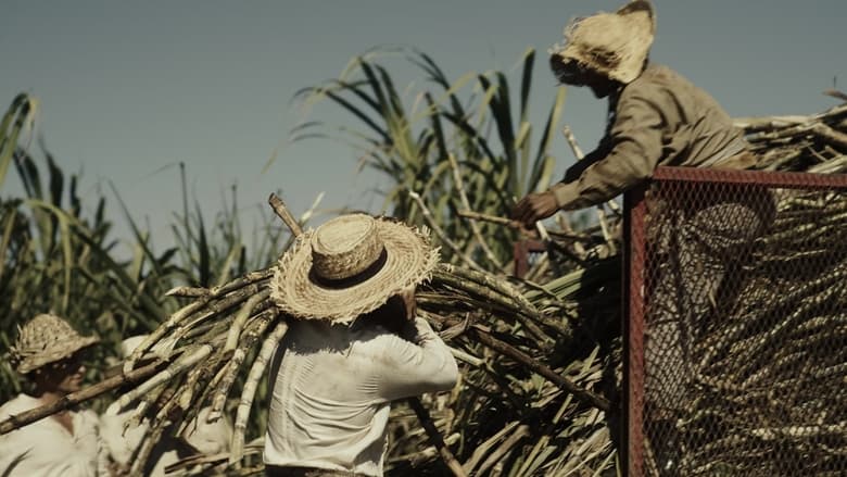 кадр из фильма Érase una vez en el Caribe