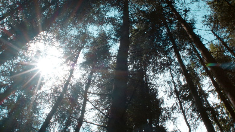 кадр из фильма Syria