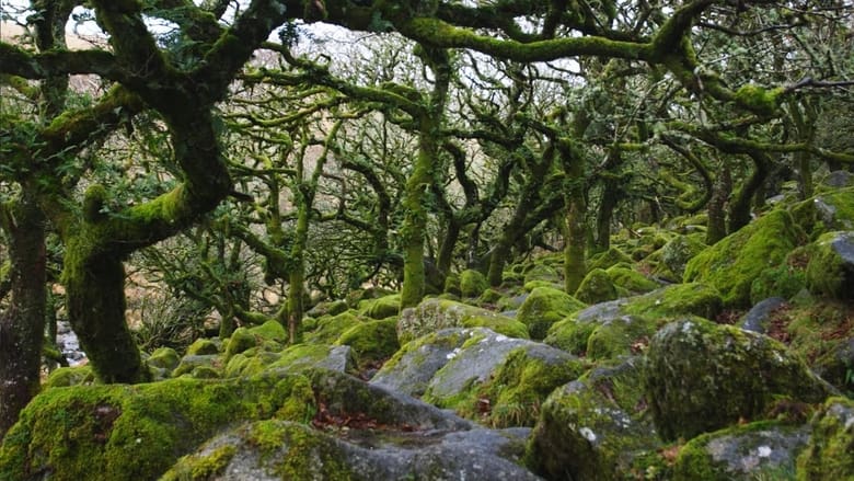 кадр из фильма Sideworld: Haunted Forests of England
