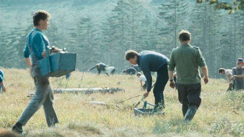 кадр из фильма 