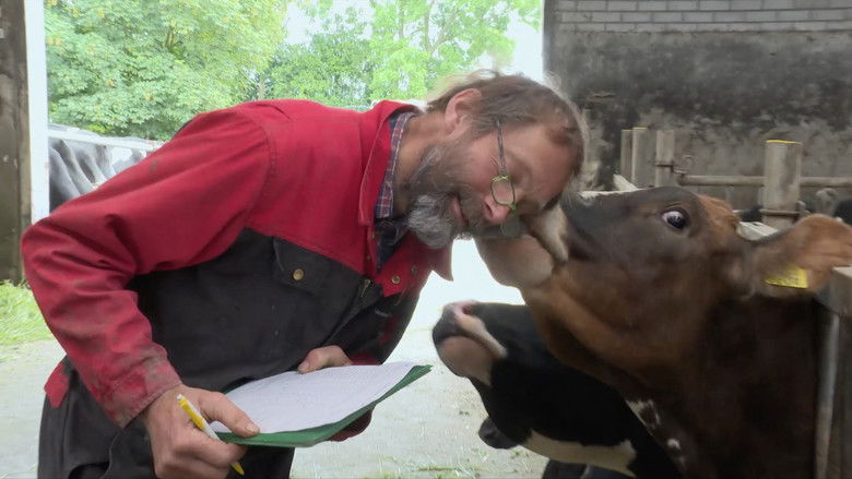 кадр из фильма Veearts Maaike