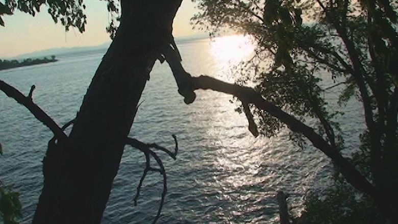 кадр из фильма Sol Garden