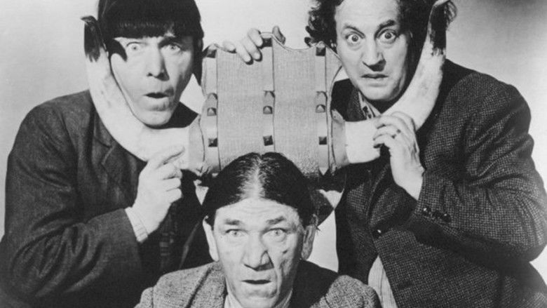 кадр из фильма Pals and Gals