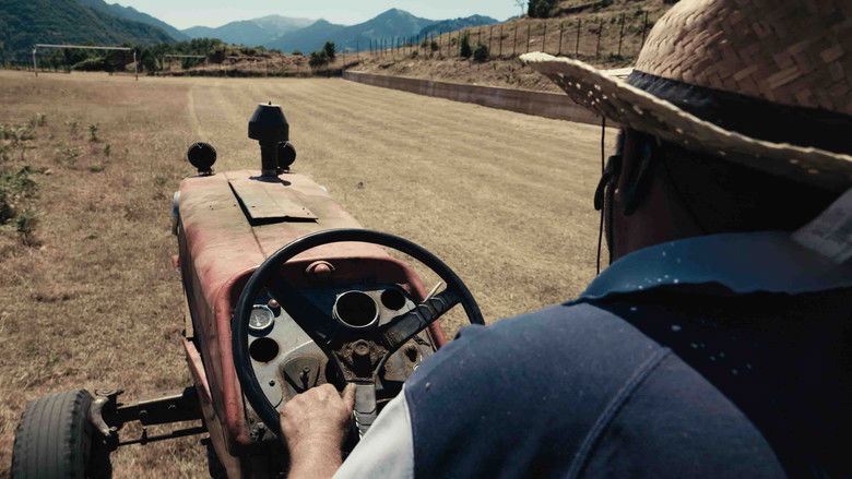 кадр из фильма Τα τέρματα του Αυγούστου
