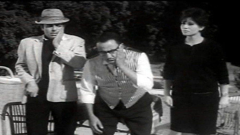 عالم مضحك جداً