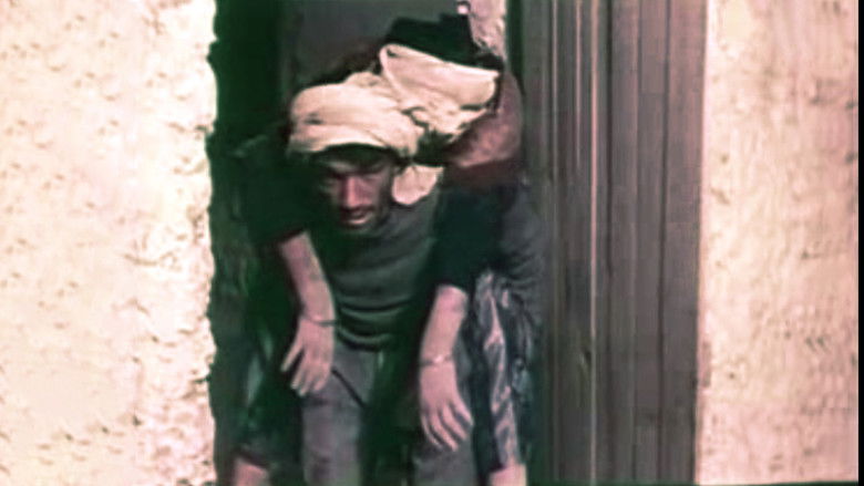 кадр из фильма Le Vent du Sud