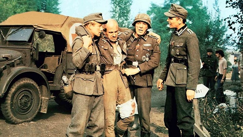 кадр из фильма Железный крест 2: Штайнер