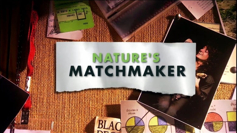 Nature's Matchmaker