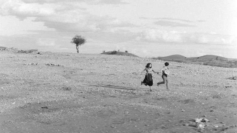 кадр из фильма Бог и дьявол на земле солнца