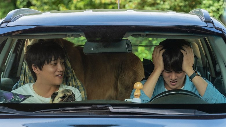 кадр из фильма Мой пёс Руни