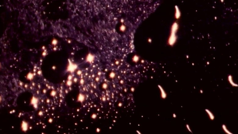 кадр из фильма OM