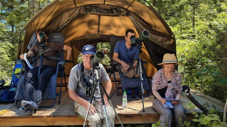 кадр из фильма Vogelperspektiven