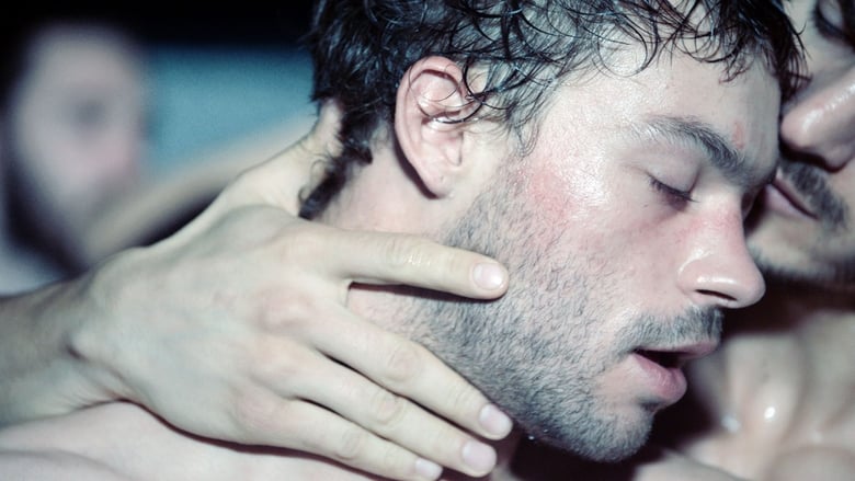 кадр из фильма Дикий